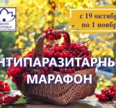 Осенний антипаразитарный марафон 2024