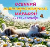 Осенний антипаразитарный марафон 2025