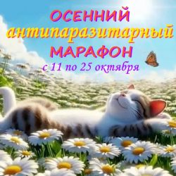 Осенний антипаразитарный марафон 2025
