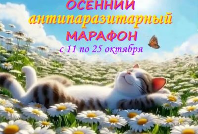 Осенний антипаразитарный марафон 2025