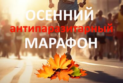 Осенний антипаразитарный марафон-2026